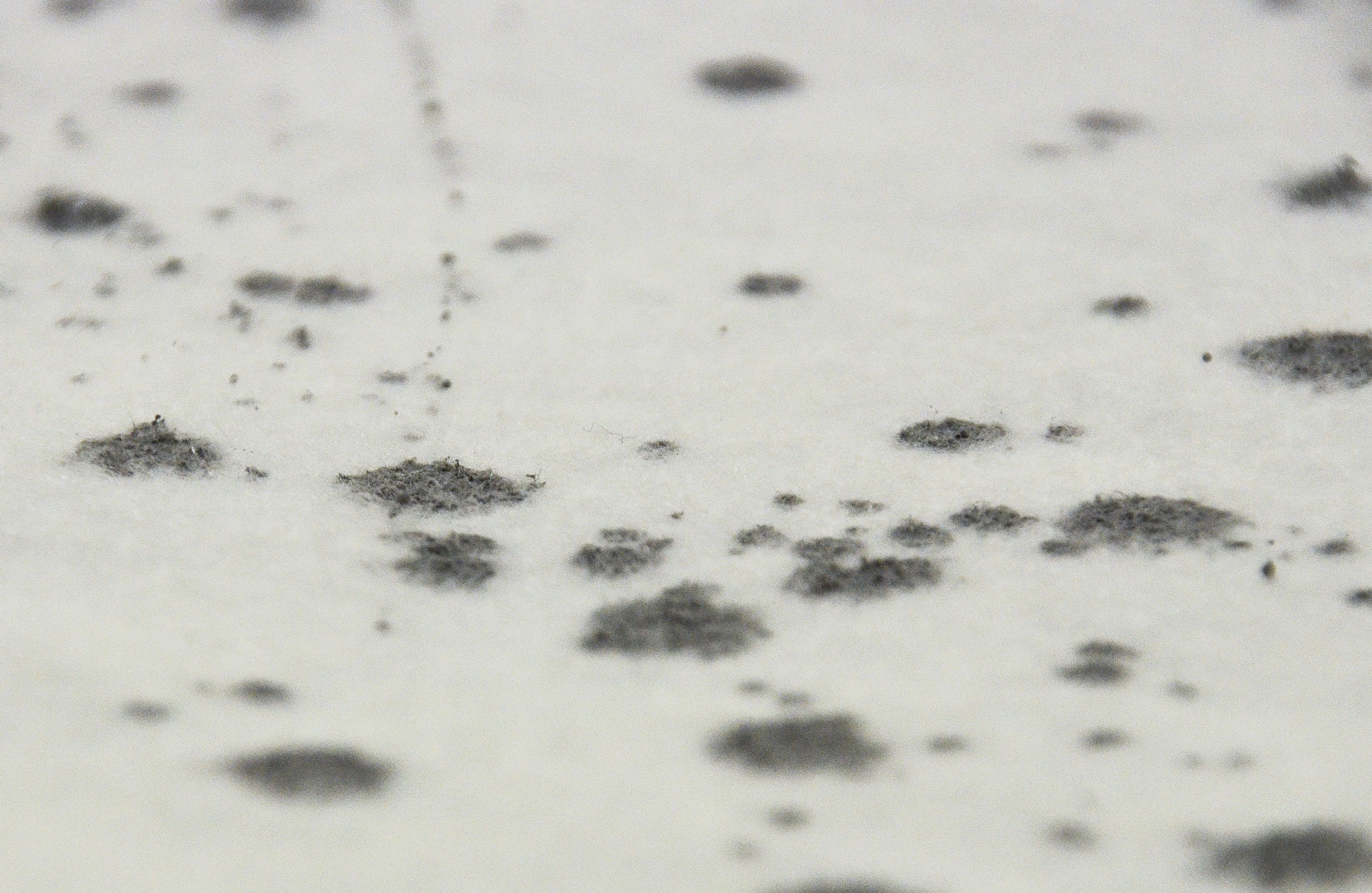 Zero Dust SaugTurbo180 selbsthaftendes Saugvlies 1x25 m