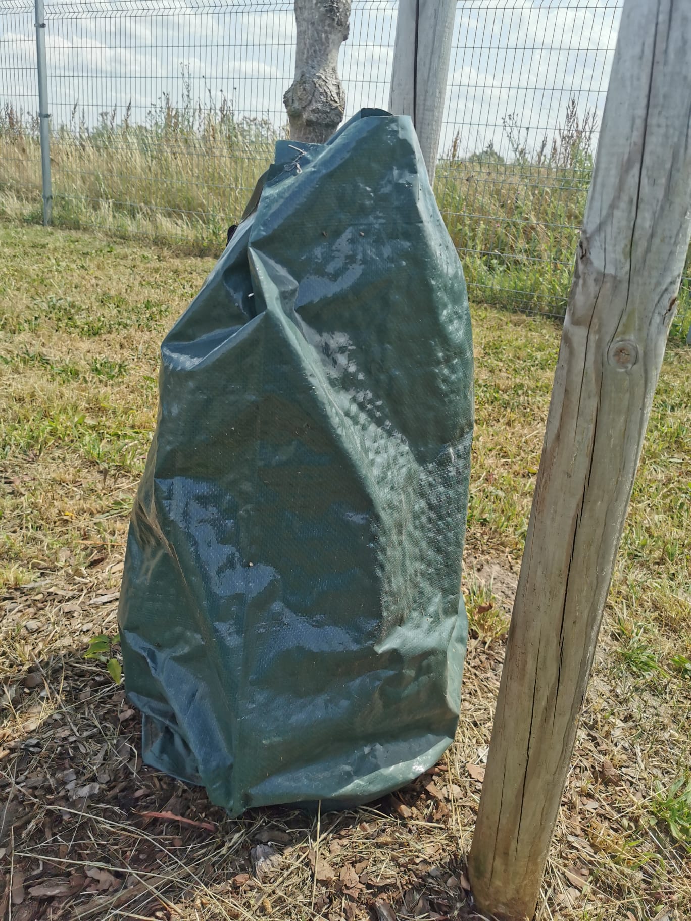 Baum Bewässerungssack 75 Liter von Zero Dust am Stamm