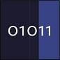 Quadratisches Icon mit der Binärzahl 01011 in Weiß auf dunkelblauem, grafisch unterteiltem Hintergrund